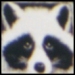 Merlefest raccoon logo